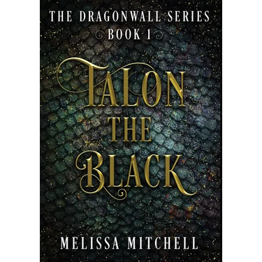 Talon the Black: A Slow Burn Fantasy Series