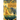 Foundations of Buddhism