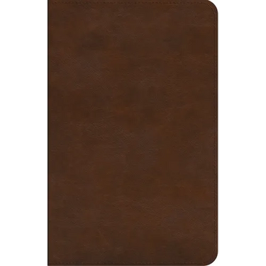 ESV Concise Study Bible(tm) (Trutone, Brown)