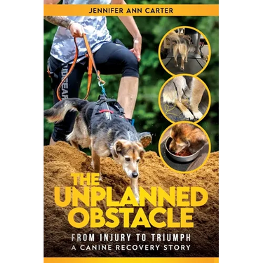The Unplanned Obstacle: From Injury to Triumph: A Canine Recovery Story