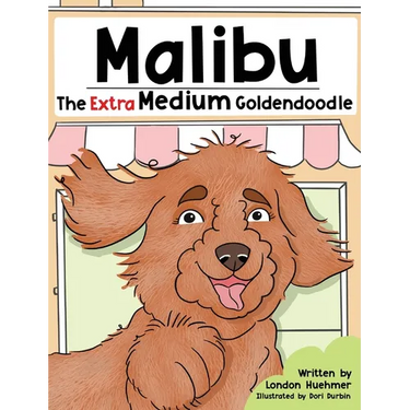 Malibu the Extra Medium Goldendoodle
