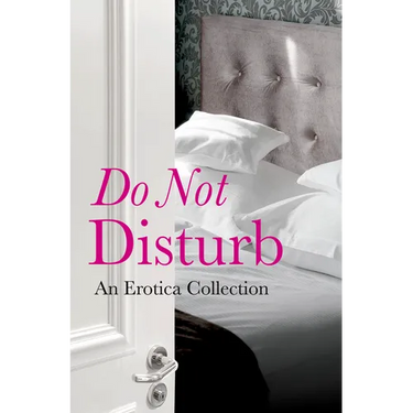 Do Not Disturb: An Erotica Collection
