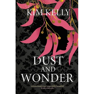 Dust and Wonder