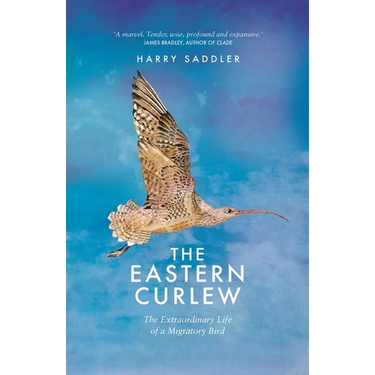 The Eastern Curlew