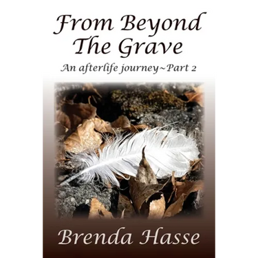 From Beyond The Grave: An afterlife journey Part 2