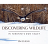 Discovering Wildlife in Toronto's Don Valley
