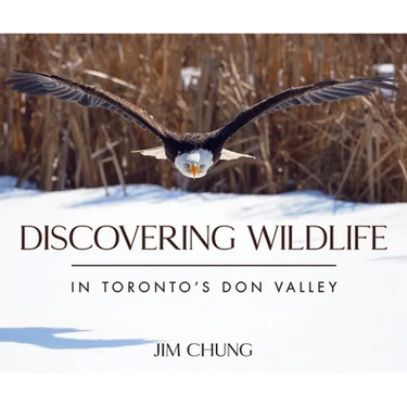 Discovering Wildlife in Toronto's Don Valley