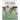 Africa 2020-2022