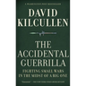 Accidental Guerrilla: Fighting Small Wars in the Midst of a Big One