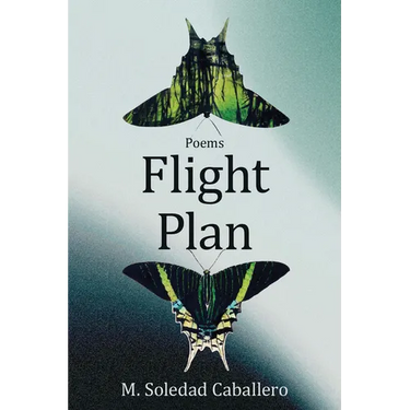 Flight Plan: Poems
