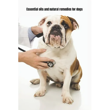 Essential Oils and Natural Remedies for Dogs: Comprehensive Guide To Keep Your Dog Healthy