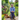 The Complete Gardener: A Practical, Imaginative Guide to Every Aspect of Gardening