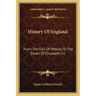 History Of England: From The Fall Of Wolsey To The Death Of Elizabeth V2: Reign Of Elizabeth
