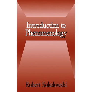 Introduction to Phenomenology