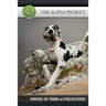 The Alpha Project: Nonverbal Dog Training & Problem Behavior