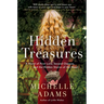 Hidden Treasures: A Novel of First Love, Second Chances, and the Hidden Stories of the Heart
