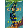 A Catalog of Burnt Objects