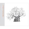 A Legacy of Ancient Oaks