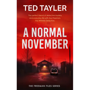A Normal November: A Cold Case Murder Mystery Series