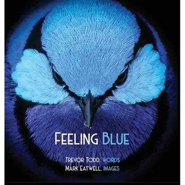 Feeling Blue