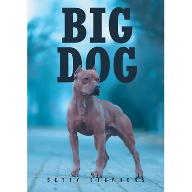 Big Dog