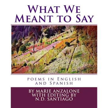 What We Meant to Say: poems in English and Spanish