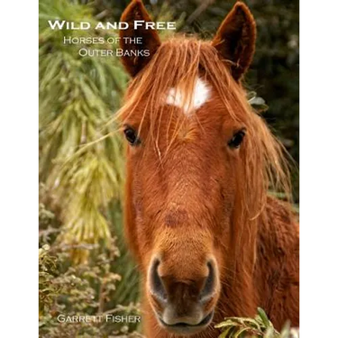Wild and Free: Horses of the Outer Banks