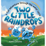Two Little Raindrops: A fun story inspired by nature: An Earth Science educational adventure