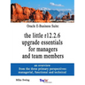 Oracle E-Business Suite: the little r12.2.6 upgrade essentials for managers and team members