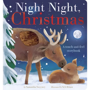 Night Night, Christmas: A Touch-And-Feel Storybook