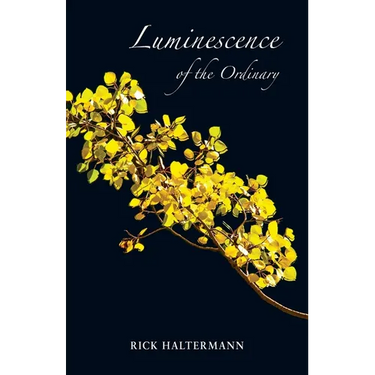 Luminescence of the Ordinary
