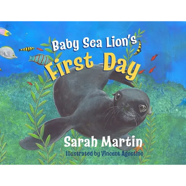 Baby Sealion's First Day: A big Adventure for a baby