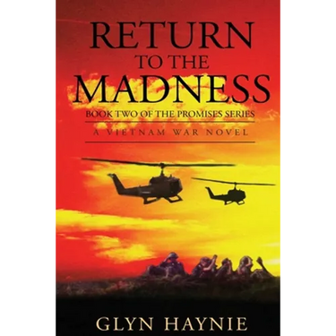 Return To The Madness: A Vietnam War Novel