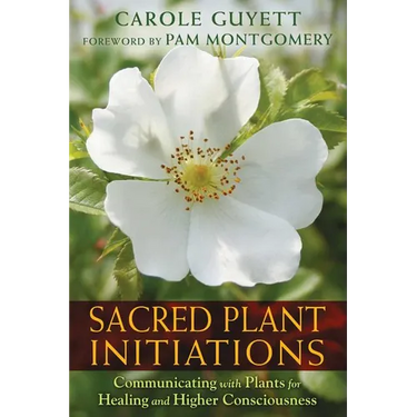 Sacred Plant Initiations: Communicating with Plants for Healing and Higher Consciousness
