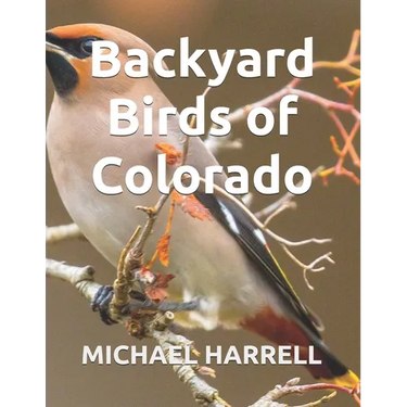 Backyard Birds of Colorado