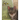 Lola: Diary of a Rescued Cat