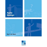 Agile Design: A set of best practices for an evolutionary design of information systems