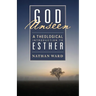 God Unseen: A Theological Introduction to Esther