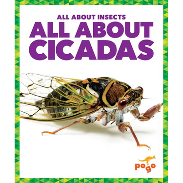 All about Cicadas
