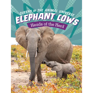 Elephant Cows: Heads of the Herd