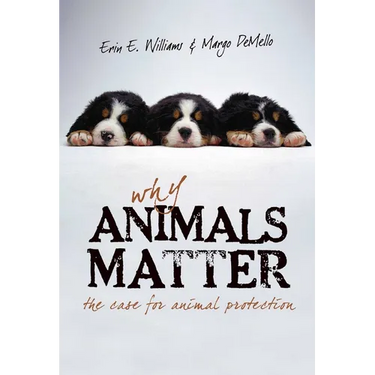 Why Animals Matter: The Case for Animal Protection