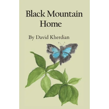 Black Mountain Home