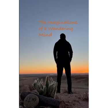 The Imaginations of a Wandering Mind
