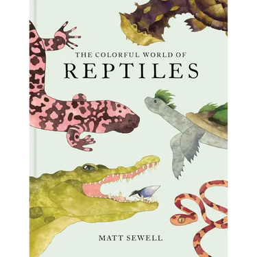 The Colorful World of Reptiles