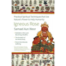 Igneous Rose: Practical Spiritual Techniques That Use Nature's Power to Help Humanity