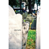 like an angel dead in your arms: early poems 1995-1999