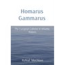 Homarus Gammarus: The European Lobster in Atlantic Waters