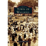 Town of Wallkill
