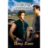 Making Promises: Volume 2