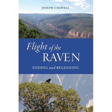 Flight of the Raven: Ending and Beginning